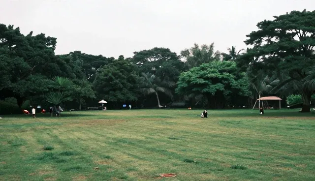企业建站网站定制：立足本地，把握业务趋势